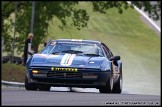 BRSCC_Championship_Racing_Brands_Hatch_130609_AE_024