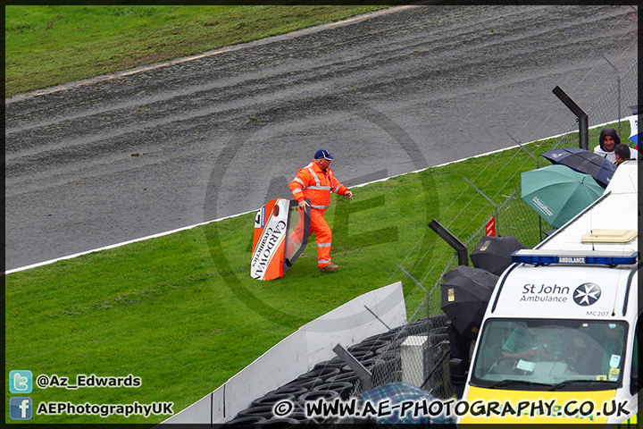 BTCC_Brands_Hatch_131013_AE_009.jpg