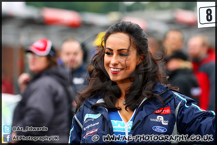 BTCC_Brands_Hatch_131013_AE_067.jpg