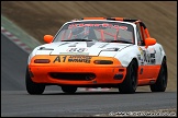 Britcar_and_Support_Brands_Hatch_131110_AE_053