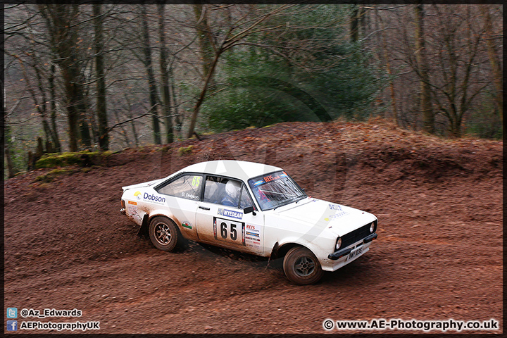 Wyedean_Rally_14-02-2015_AE_129.jpg