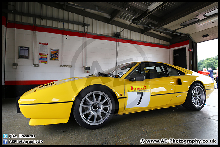 Festival_Italia_Brands_Hatch_14-08-16_AE_011.jpg