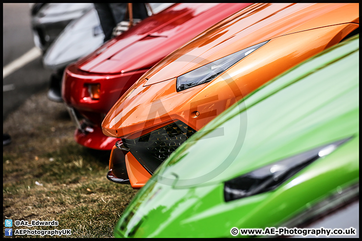 Festival_Italia_Brands_Hatch_14-08-16_AE_049.jpg