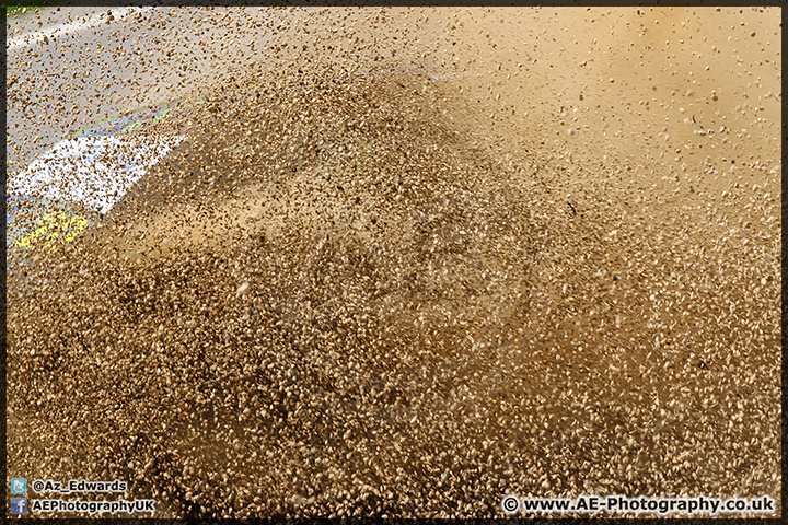 MSVR_Brands_Hatch_16-05-15_AE_174.jpg