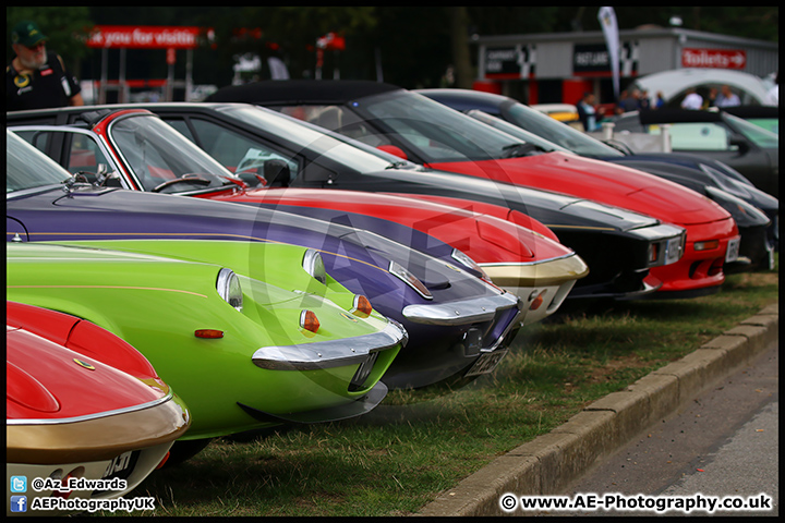 Lotus_Festival_Brands_Hatch_16-08-15_AE_002.jpg