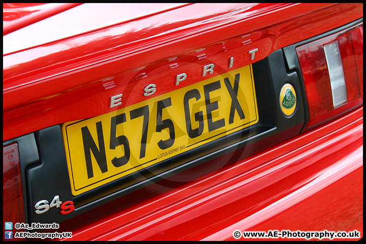 Lotus_Festival_Brands_Hatch_16-08-15_AE_012.jpg