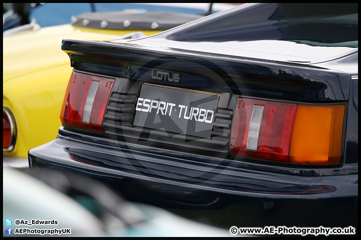 Lotus_Festival_Brands_Hatch_16-08-15_AE_051.jpg