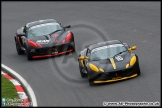 Lotus_Festival_Brands_Hatch_16-08-15_AE_045