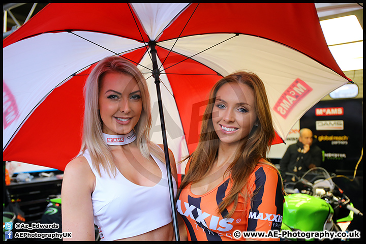 BSB_Brands_Hatch_16-10-16_AE_008.jpg