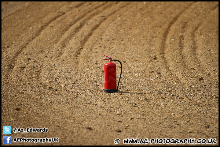 Mini_Festival_Brands_Hatch_160612_AE_025.jpg