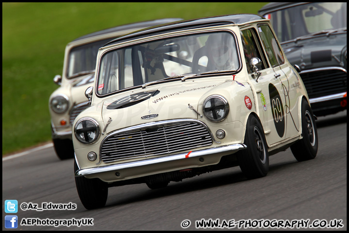 Mini_Festival_Brands_Hatch_160612_AE_044.jpg