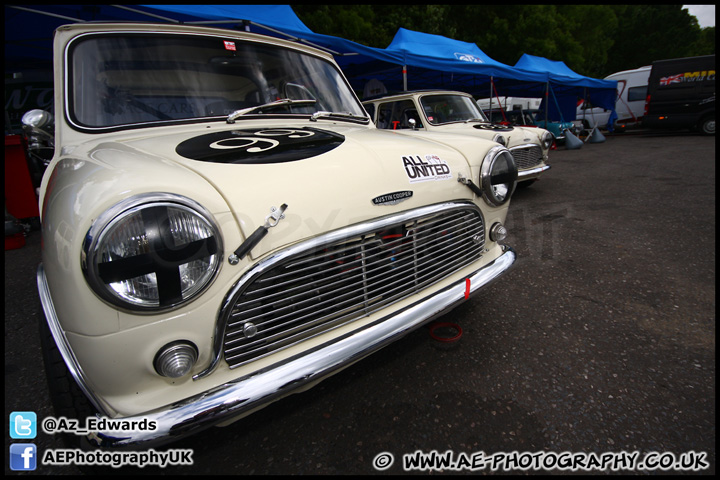 Mini_Festival_Brands_Hatch_160612_AE_087.jpg