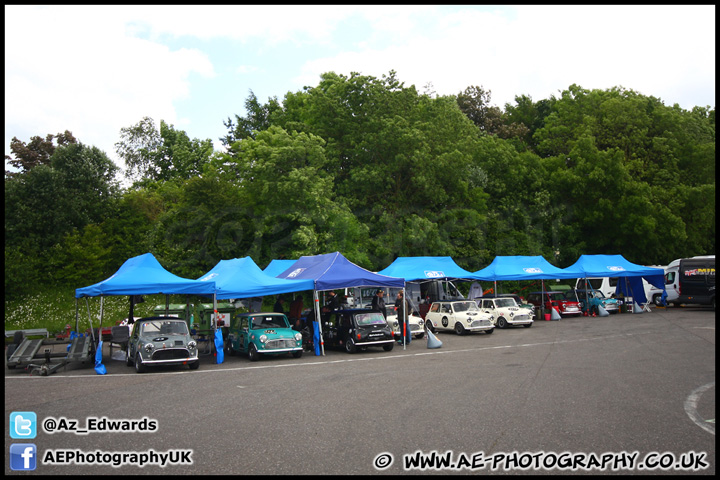 Mini_Festival_Brands_Hatch_160612_AE_089.jpg