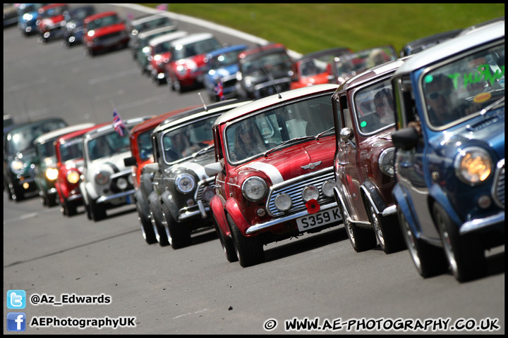 Mini_Festival_Brands_Hatch_160612_AE_105.jpg