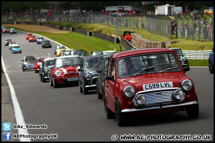 Mini_Festival_Brands_Hatch_160612_AE_108.jpg