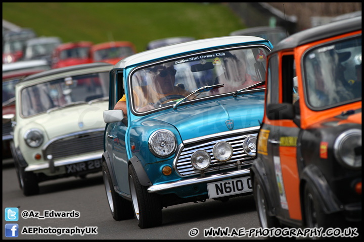 Mini_Festival_Brands_Hatch_160612_AE_110.jpg