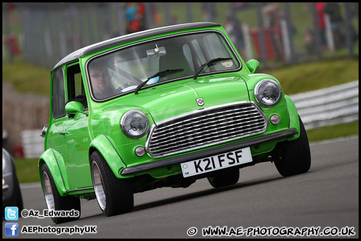 Mini_Festival_Brands_Hatch_160612_AE_113.jpg