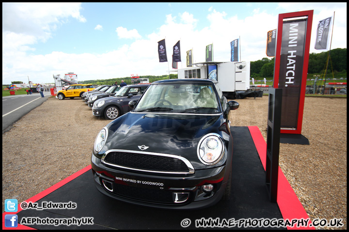 Mini_Festival_Brands_Hatch_160612_AE_120.jpg