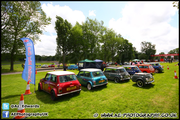 Mini_Festival_Brands_Hatch_160612_AE_125.jpg