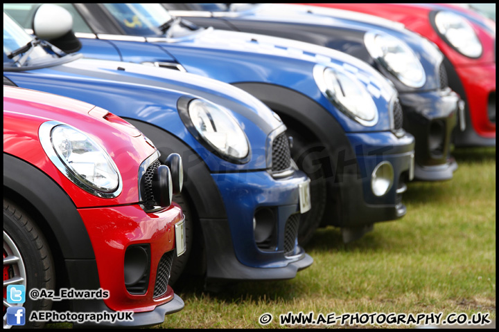 Mini_Festival_Brands_Hatch_160612_AE_126.jpg