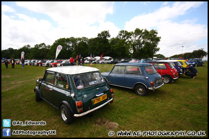 Mini_Festival_Brands_Hatch_160612_AE_134.jpg