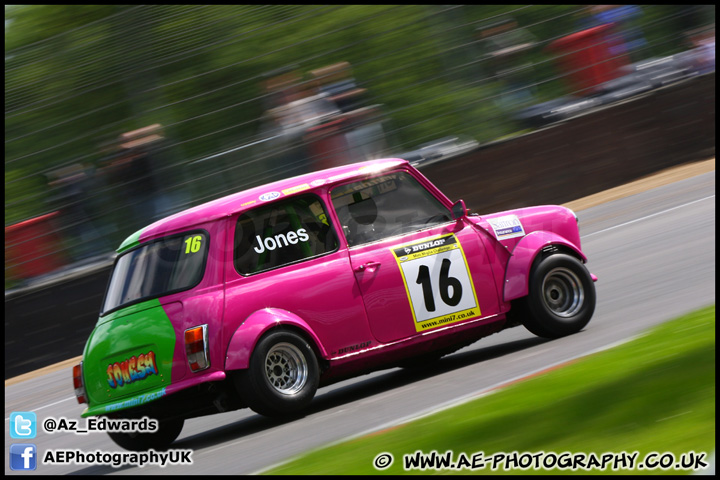 Mini_Festival_Brands_Hatch_160612_AE_199.jpg