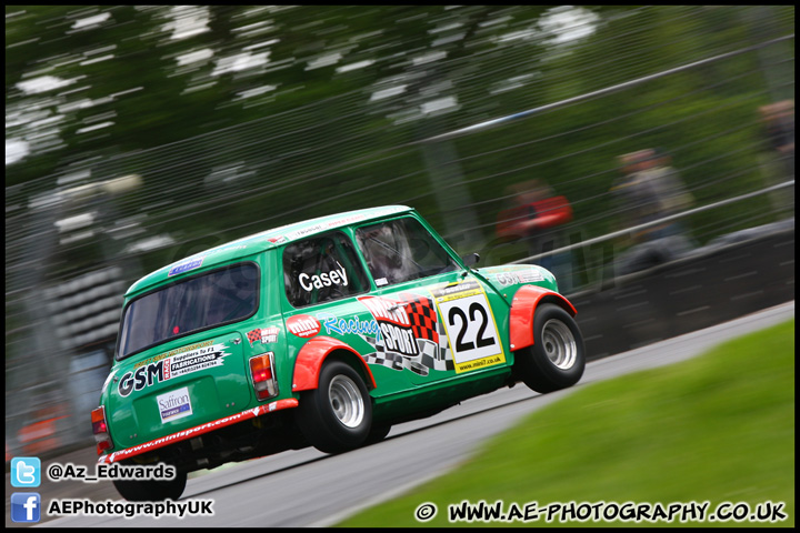 Mini_Festival_Brands_Hatch_160612_AE_205.jpg