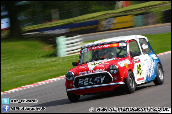 Mini_Festival_Brands_Hatch_160612_AE_248.jpg