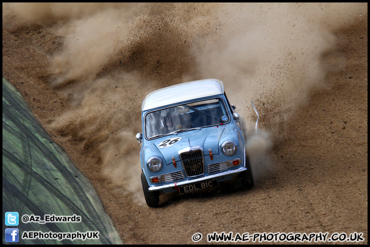 Mini_Festival_Brands_Hatch_160612_AE_262.jpg