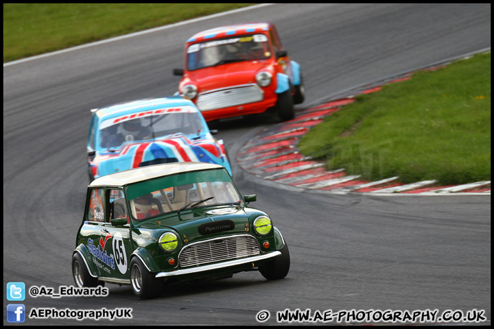 Mini_Festival_Brands_Hatch_160612_AE_295.jpg