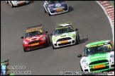 Mini_Festival_Brands_Hatch_160612_AE_184