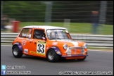 Mini_Festival_Brands_Hatch_160612_AE_198