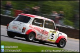 Mini_Festival_Brands_Hatch_160612_AE_201