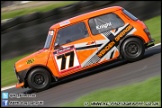 Mini_Festival_Brands_Hatch_160612_AE_239