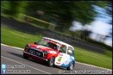 Mini_Festival_Brands_Hatch_160612_AE_246