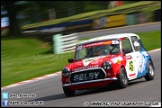 Mini_Festival_Brands_Hatch_160612_AE_248