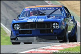 MSVR_Indy_Weekend_Brands_Hatch_160711_AE_152