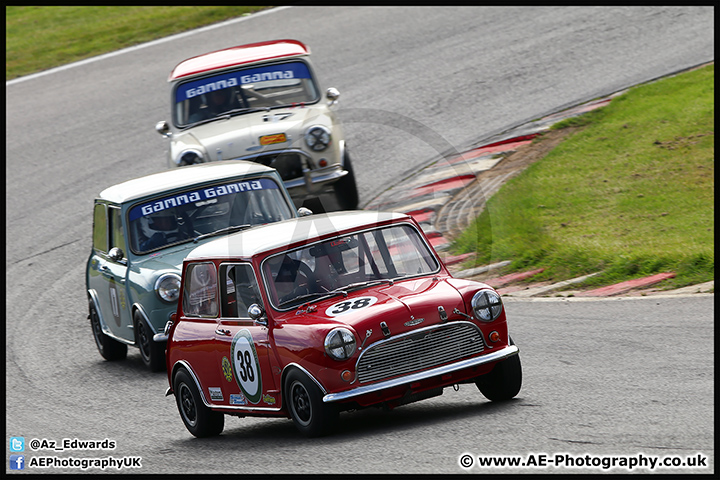 Mini_Festival_Brands_Hatch_17-07-16_AE_004.jpg