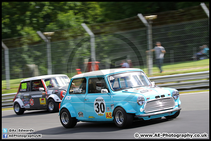 Mini_Festival_Brands_Hatch_17-07-16_AE_017.jpg