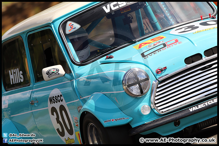 Mini_Festival_Brands_Hatch_17-07-16_AE_018.jpg