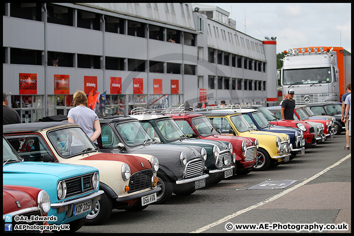 Mini_Festival_Brands_Hatch_17-07-16_AE_048.jpg