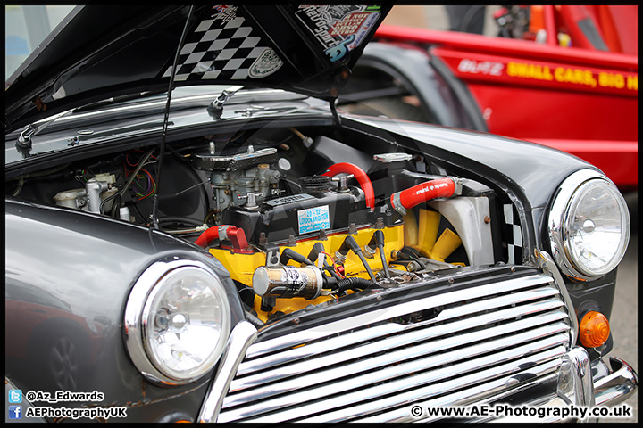 Mini_Festival_Brands_Hatch_17-07-16_AE_049.jpg