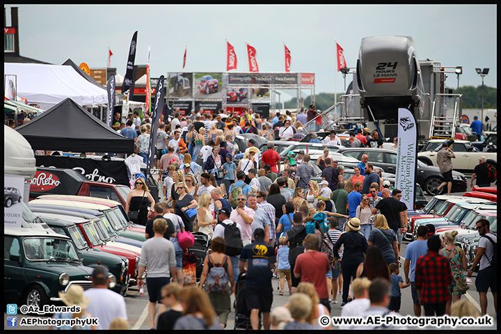Mini_Festival_Brands_Hatch_17-07-16_AE_095.jpg
