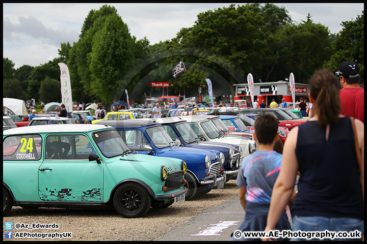 Mini_Festival_Brands_Hatch_17-07-16_AE_096.jpg