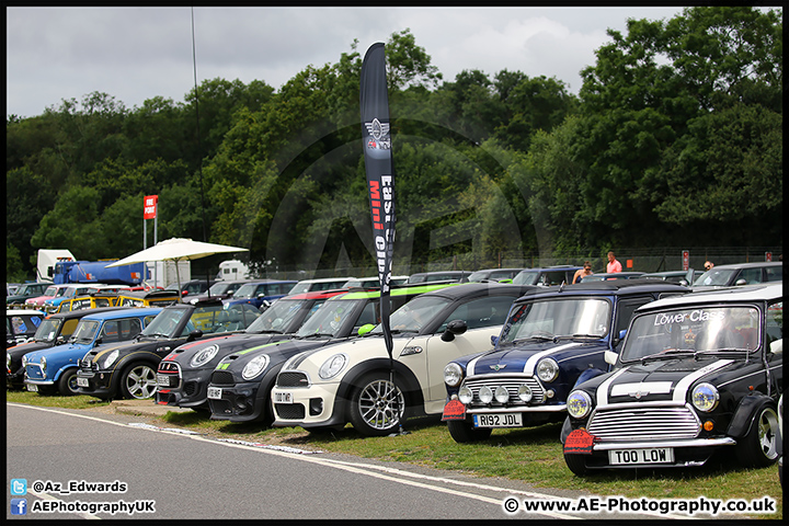 Mini_Festival_Brands_Hatch_17-07-16_AE_097.jpg