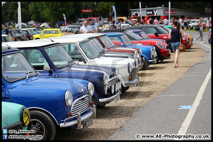 Mini_Festival_Brands_Hatch_17-07-16_AE_098.jpg