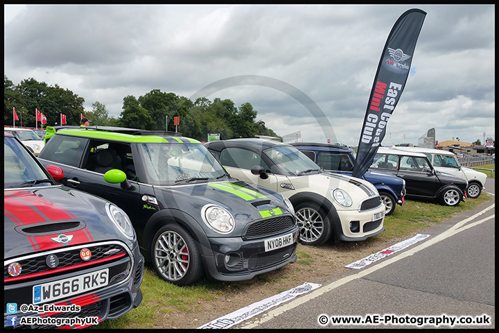 Mini_Festival_Brands_Hatch_17-07-16_AE_100.jpg