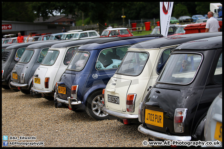 Mini_Festival_Brands_Hatch_17-07-16_AE_104.jpg