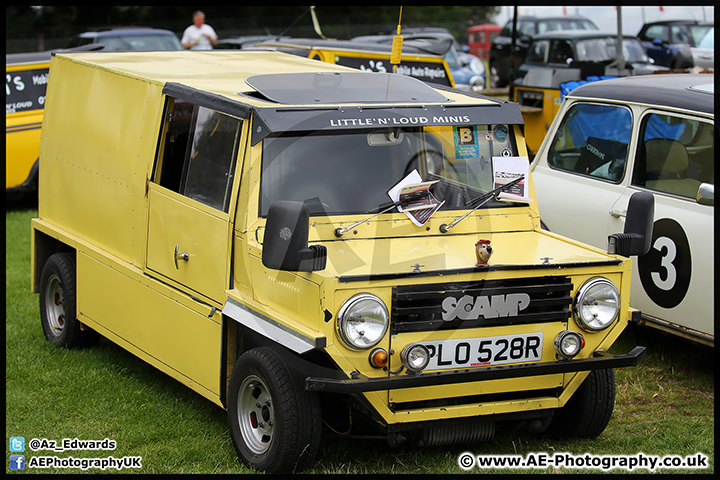 Mini_Festival_Brands_Hatch_17-07-16_AE_105.jpg