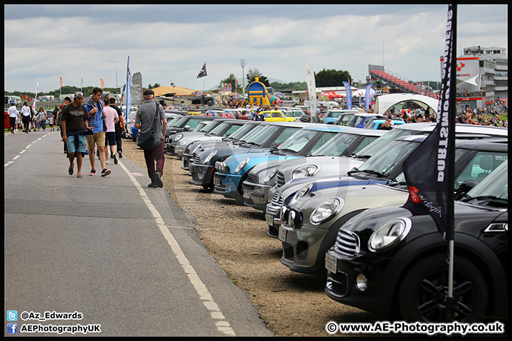 Mini_Festival_Brands_Hatch_17-07-16_AE_111.jpg